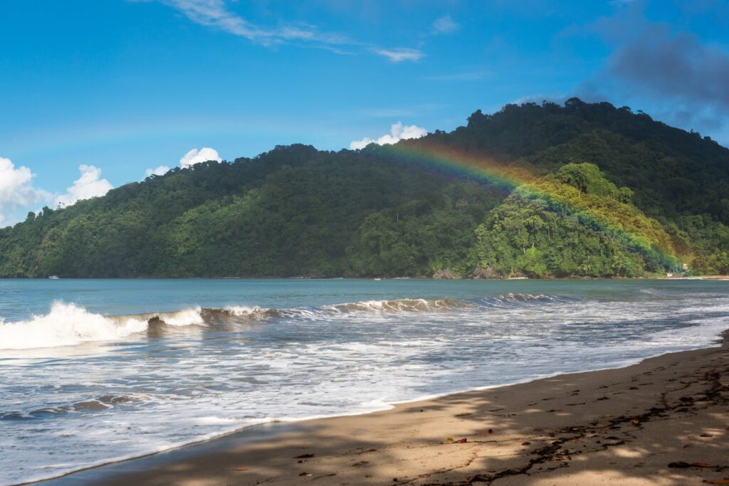 pexels photo 31703687.jpeg